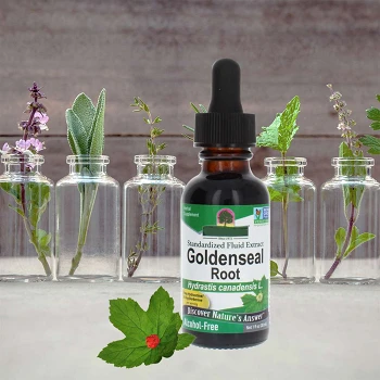 GoldenSeal Root Extract product GoldenSeal Root Extract product