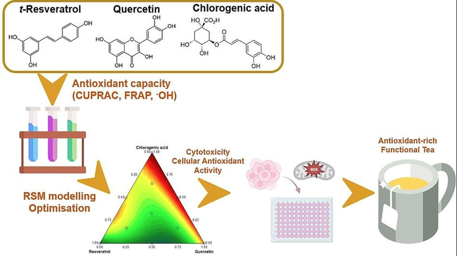 Antioxidant Benefits Of Dihydroquercetin Antioxidant Benefits Of Dihydroquercetin